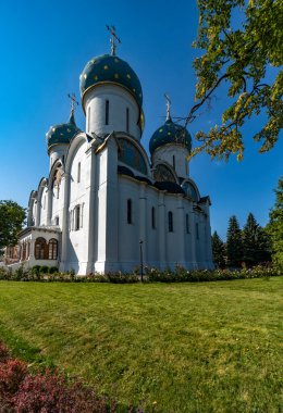 Rusya 'nın Vladimir şehrindeki varsayım katedrali.