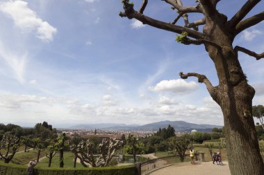 Toskana, İtalya 'daki üzüm bağlarının manzarası