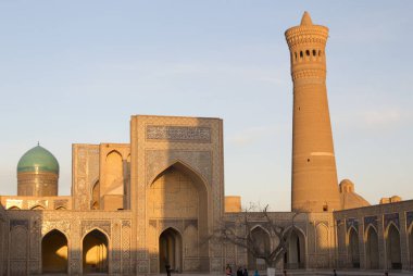 Abu Dabi 'deki mavi camii.