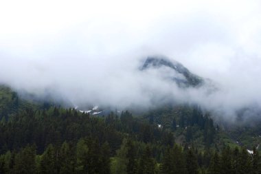Bulutlu ve sisli dağ manzarası