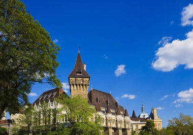 Strasbourg, Alsace, Fransa katedralinin tarihi kulesinin manzarası