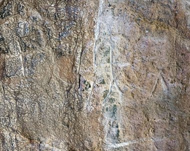 Gobustan Ulusal Parkı 'nda antik kaya oymacılığı. Bakü, Azerbaycan yakınlarındaki Gobustan 'da Petroglyphs Sergisi.