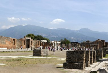 Ephesus şehrindeki antik Yunan tapınağının kalıntıları hindi içinde.