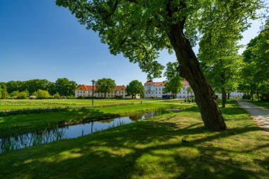 Yazın parkın manzarası