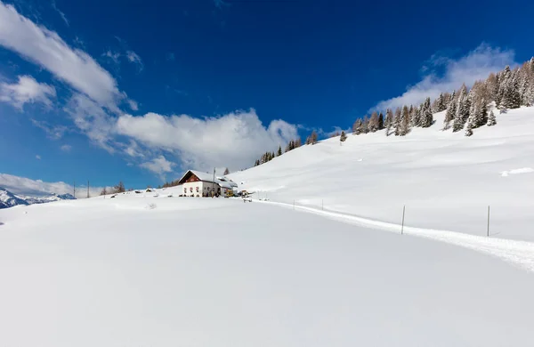 Vinterlandskap Med Snötäckta Träd — Stockfoto