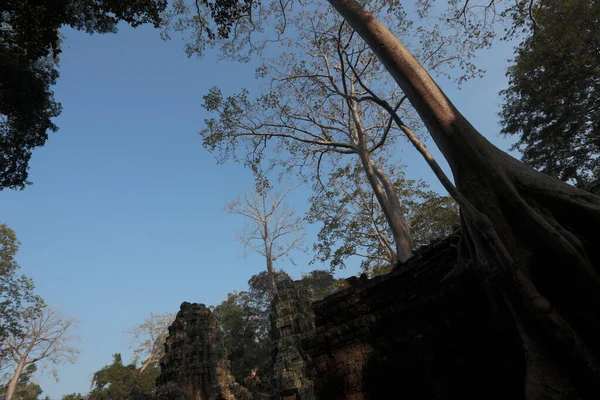 Angkor Wat Siem Reap Camboja — Fotografia de Stock