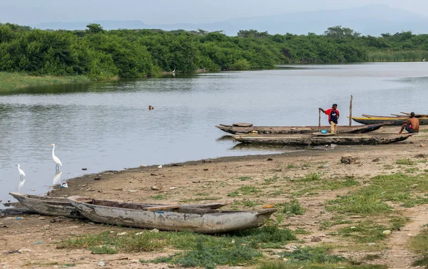 Loma Arena Colombie Octobre 2015 Les Gens Dans Les Mangroves — Photo