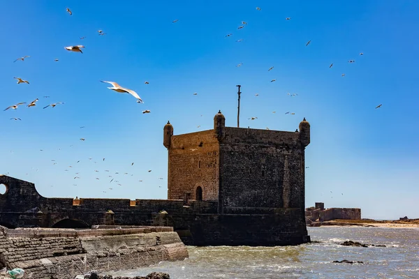 Old Architecture Sea Coast Marocco — Stock Photo, Image