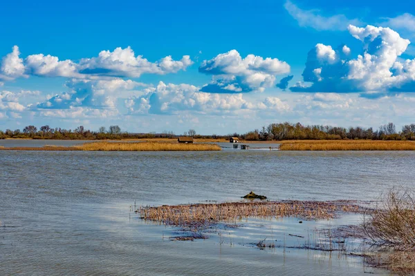 landscape of the river with blue sky and clouds