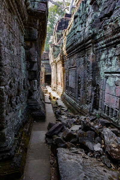 Ancient ruins of the old temple in the city of angkor in cambodia