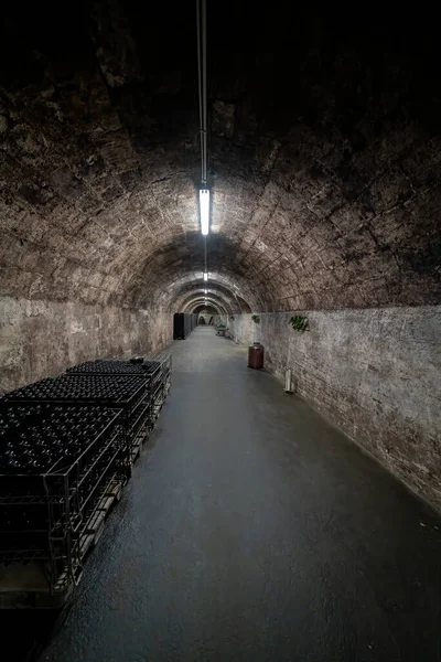 Budapeşte Macaristan Haziran 2018 Torley Şarap Şirketi Nde Şarap Mahzeni — Stok fotoğraf