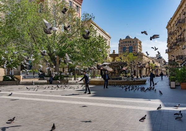 Bakú Azerbaiyán Mayo 2019 Calle Nizami Una Gran Calle Peatonal — Foto de Stock