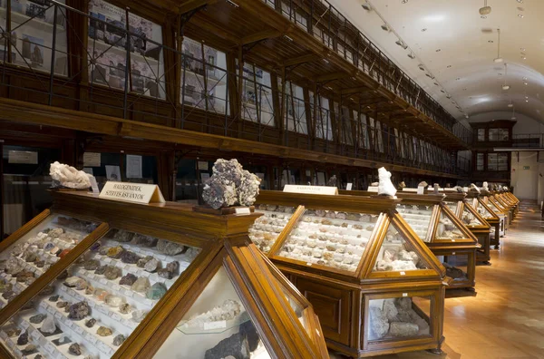 Музей Геологии Будапеште — стоковое фото