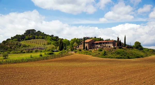 Vista Das Vinhas Toscana Itália — Fotografia de Stock