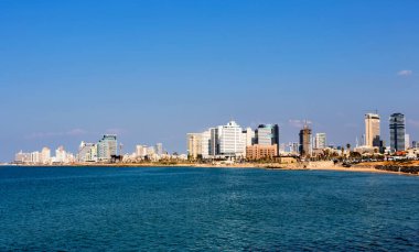 Florida 'daki Miami şehrinin manzarası