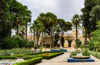FEZ, MOROCCO - 19 Temmuz 2014 'te Fas' ın Fez kentinde şehir duvarının dışına park edildi. Medina UNESCO 'nun Dünya Mirasları Listesi' nde yer alıyor.