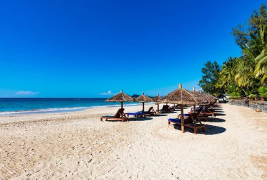 Palmiye ağaçları ve mavi gökyüzü olan güzel tropikal plaj