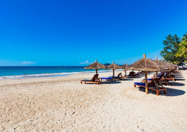 Güzel sahil ve tropikal deniz hindistan cevizi palmiyesi ağaçları ile Maldivler adasının kumlu sahillerinde