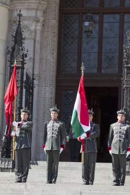 Şehirdeki bir grup insana,