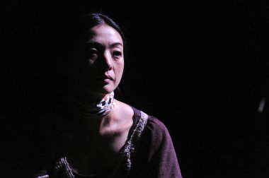 BUDAPEST, HUNGARY - 7 Ekim 2010 'da Macaristan' ın Budapeşte kentinde bulunan Müzik Akademisi 'nin sahnesindeki Ses Göç Konseri' nde Japon aktris..