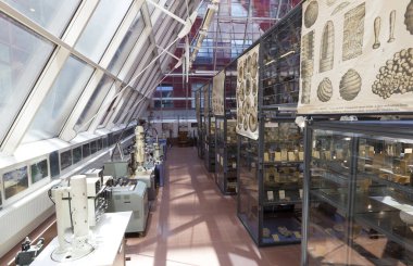 BUDAPEST, HUNGARY - 25 Mayıs 2011: Bilim Fakültesi binasındaki biyoloji müzesi. Eotvos Lorand Üniversitesi (ELTE) Macaristan 'ın en büyük ve en eski üniversitesidir..