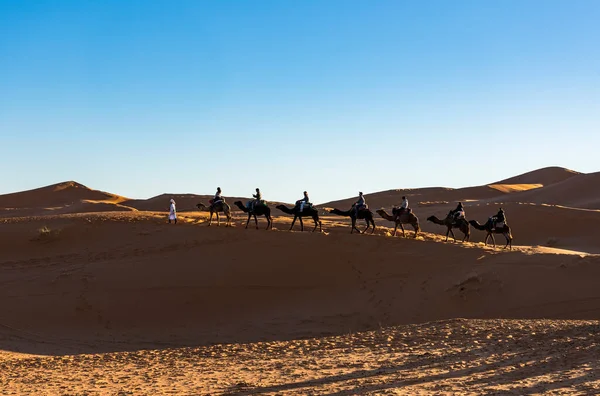 Gente Montada Camellos Desierto — Foto de Stock