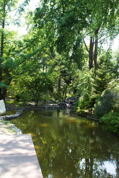 Hermoso Jardín Botánico Con Estanque —  Fotos de Stock