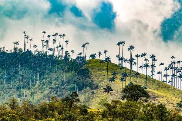 Valle Del Cocora Estación Húmeda Montaña Los Andes Colombia — Foto de Stock