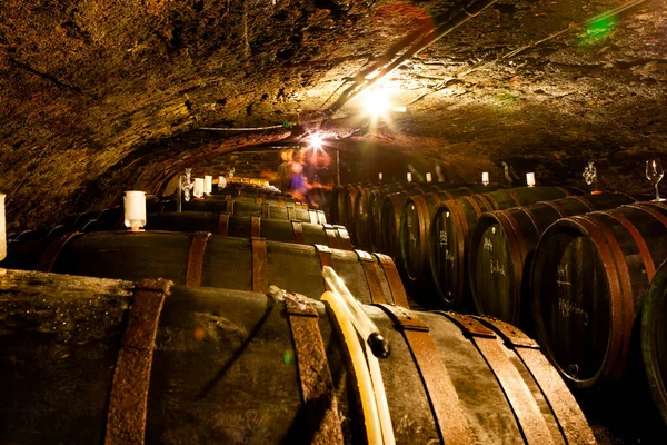 View Wine Cellar — Stock Photo, Image