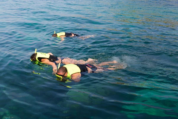 Snorkeling Sea — Stock Photo, Image