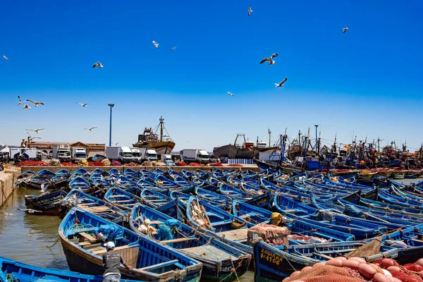 Essaouira Limanında Balıkçı Tekneleri Fas — Stok fotoğraf