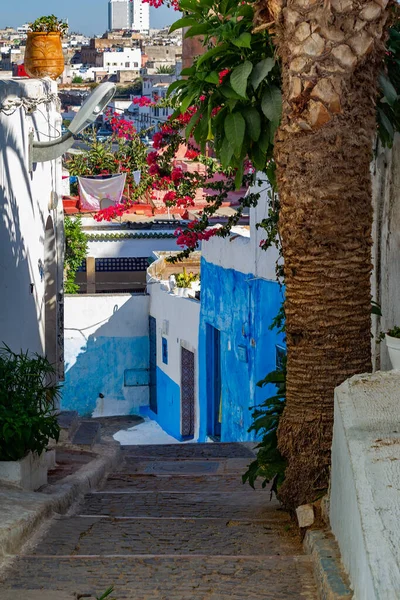 Типичная Улица Шефшауэн Марокко Африка — стоковое фото