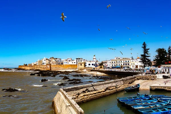 Fortezza Medievale Essaouria Marocco — Foto Stock