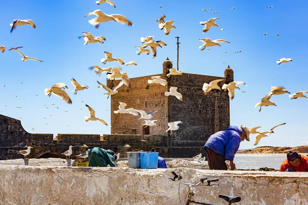 Old Architecture Sea Coast Marocco — Stock Photo, Image