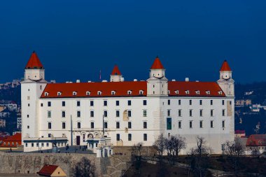 Tallinn, Estonya 'daki şatonun manzarası