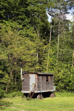 Ormandaki eski ahşap vagon