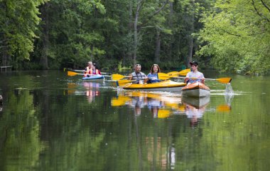 Ormandaki teknede bir grup insan.