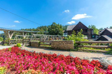 Hollanda 'daki bahçenin güzel manzarası