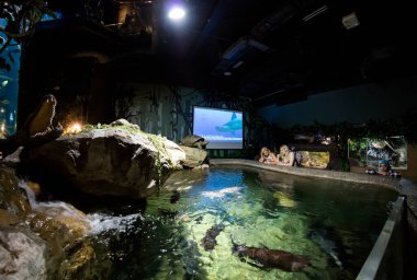 KUALA LUMPUR, MALAYSIA, JANUARY 5., 2017: Kuala Lumpur Şehir Merkezi 'nin altında yer alan bir okyanus akvaryumu, 2005 yılında açıldı..