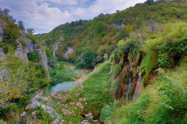 Dağların manzaralı dağ manzarası