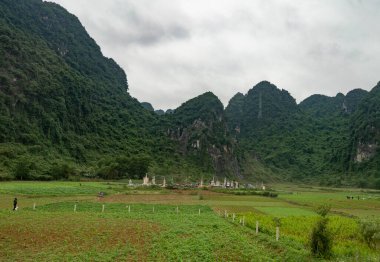 Yeşil çimenler ve dağlarla kaplı dağ manzarası