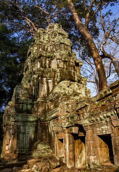 Angkor Wat Siem Cosechar Cambodia — Foto de Stock