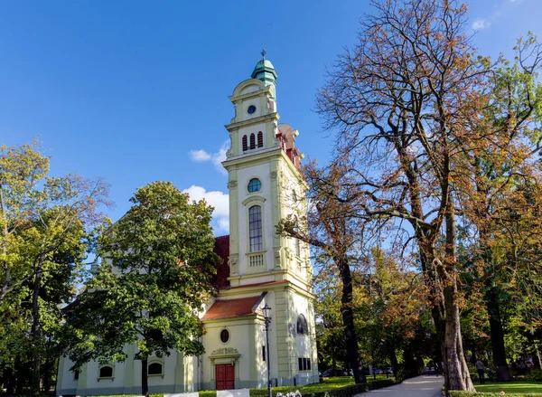 Kostel Jiří Městě Vilniusu Hlavním Městě Lituánie — Stock fotografie