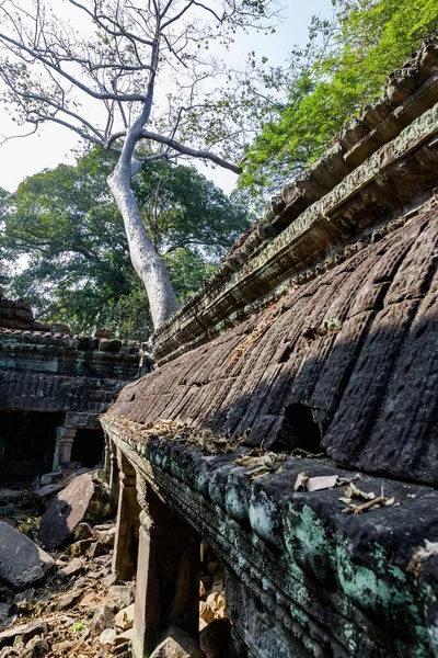 Angkor Wat Siem Reap Camboja — Fotografia de Stock