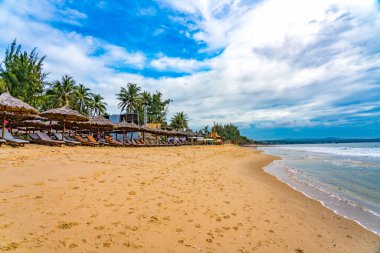 Palmiye ağaçları ve mavi gökyüzü olan tropik plaj