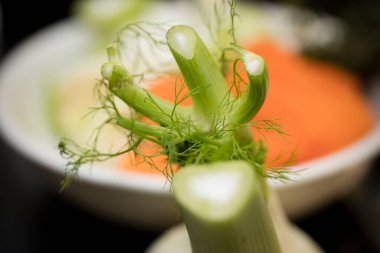 Salatalık ve dereotlu taze salata.