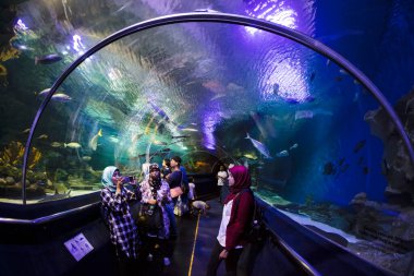 KUALA LUMPUR, MALAYSIA, JANUARY 5., 2017: Kuala Lumpur Şehir Merkezi 'nin altında yer alan bir okyanus akvaryumu, 2005 yılında açıldı..