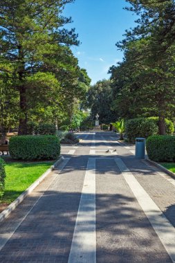 Şehrin en güzel parkı.