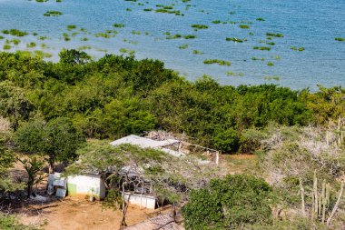 Kolombiya, Cartagena yakınlarında Cienaga Del Totumo Gölü.