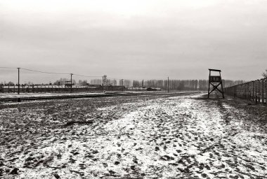 Karların siyah beyaz fotoğrafı